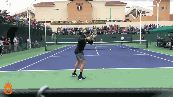 WTA式正手 vs ATP式正手，附ATP式正手练习方法！