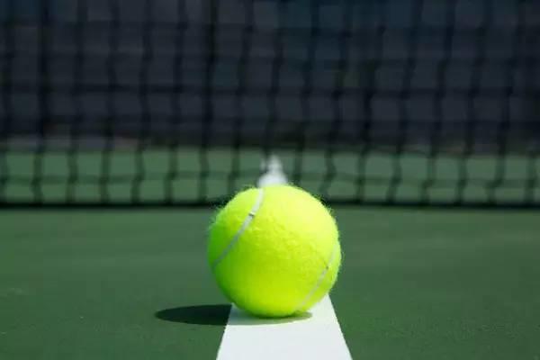 【技术】网球的三种打法类型